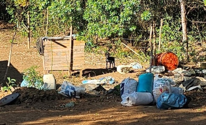 policia-civil-resgata-cadela-vitima-de-maus-tratos-em-dores-de-campos