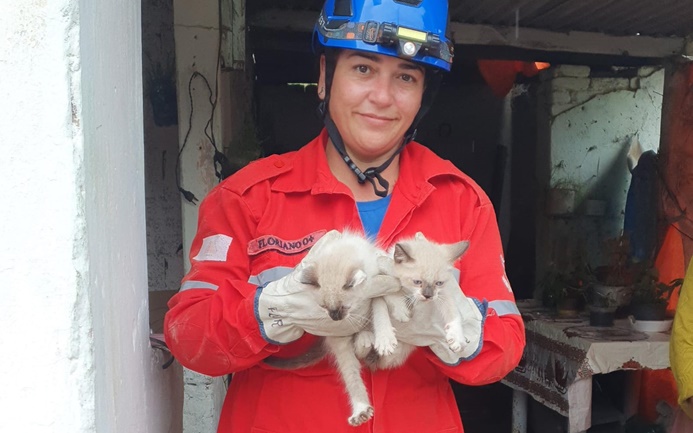 brigada-municipal-de-carandai-resgata-filhotes-de-gato-em-cisterna-desativada