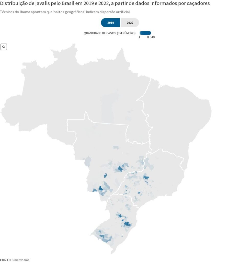 mais-de-500-mil-javalis-foram-abatidos-em-8-meses-no-brasil