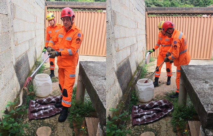 bombeiros-capturam-jararaca-em-quintal-de-residencia-em-barbacena