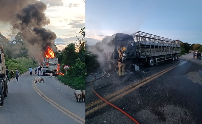 incendio-atinge-caminhao-que-transportava-porcos-na-mgc-383