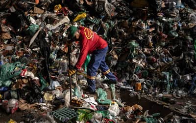 sao-paulo-(sp):-sem-regulamentacao,-lei-municipal-contra-descartaveis-deixa-cooperativas-com-residuos-sem-valor